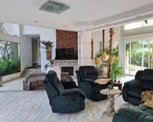 WhatsApp Image 2026-01-19 at 19.53.06